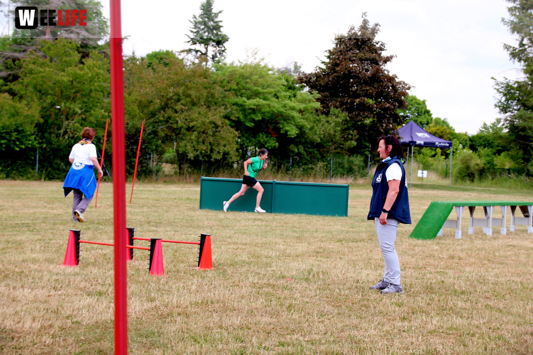 Bayerische Meisterschaft im Turnierhundesport