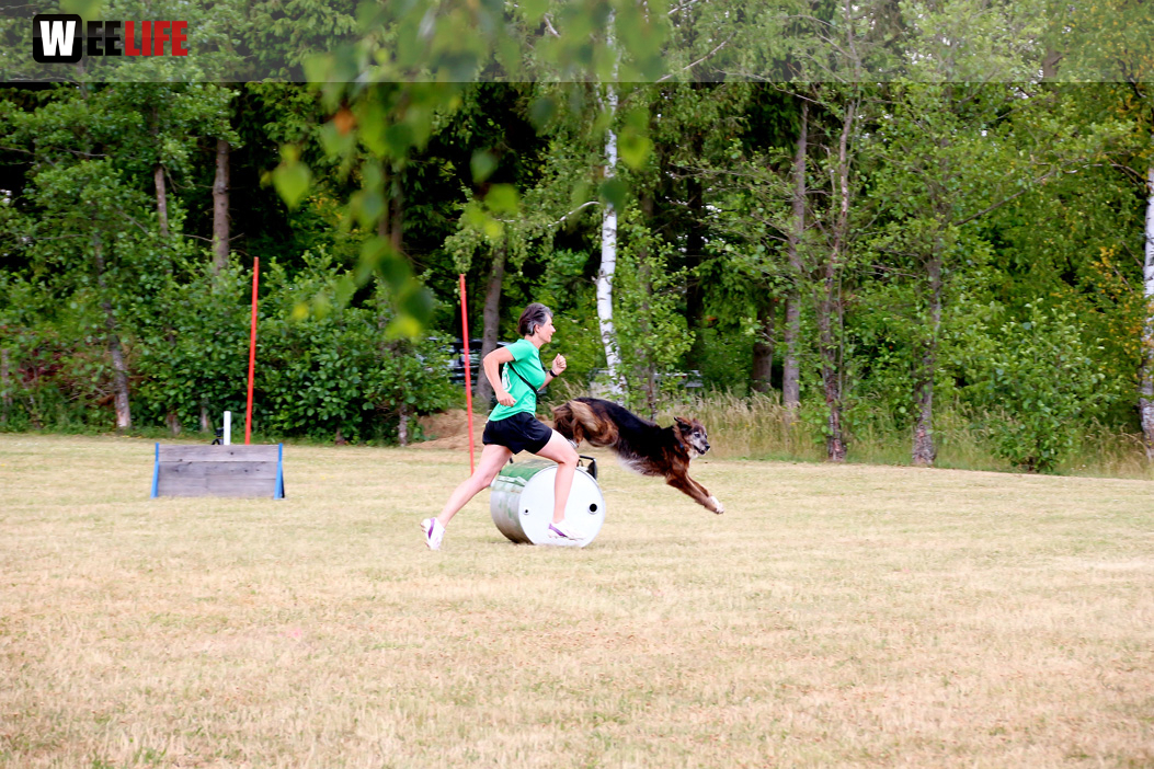 Bayerische Meisterschaft im Turnierhundesport