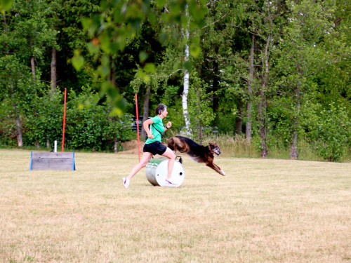 Bayerische Meisterschaft im Turnierhundesport – Foto 69