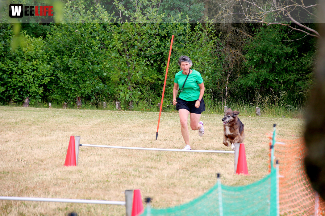 Bayerische Meisterschaft im Turnierhundesport