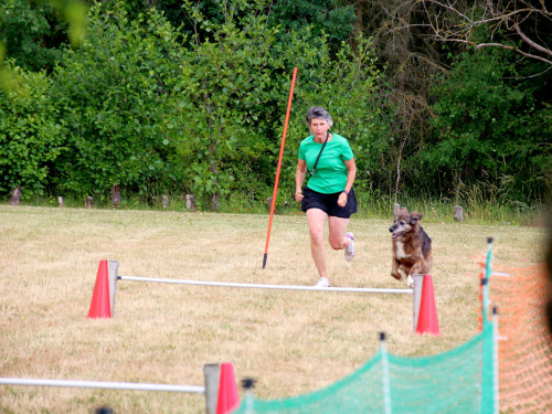 Bayerische Meisterschaft im Turnierhundesport – Foto 70