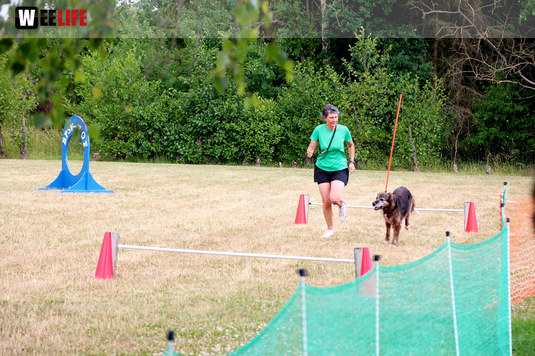 Bayerische Meisterschaft im Turnierhundesport
