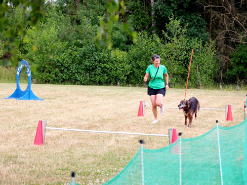 Bayerische Meisterschaft im Turnierhundesport – Foto 71