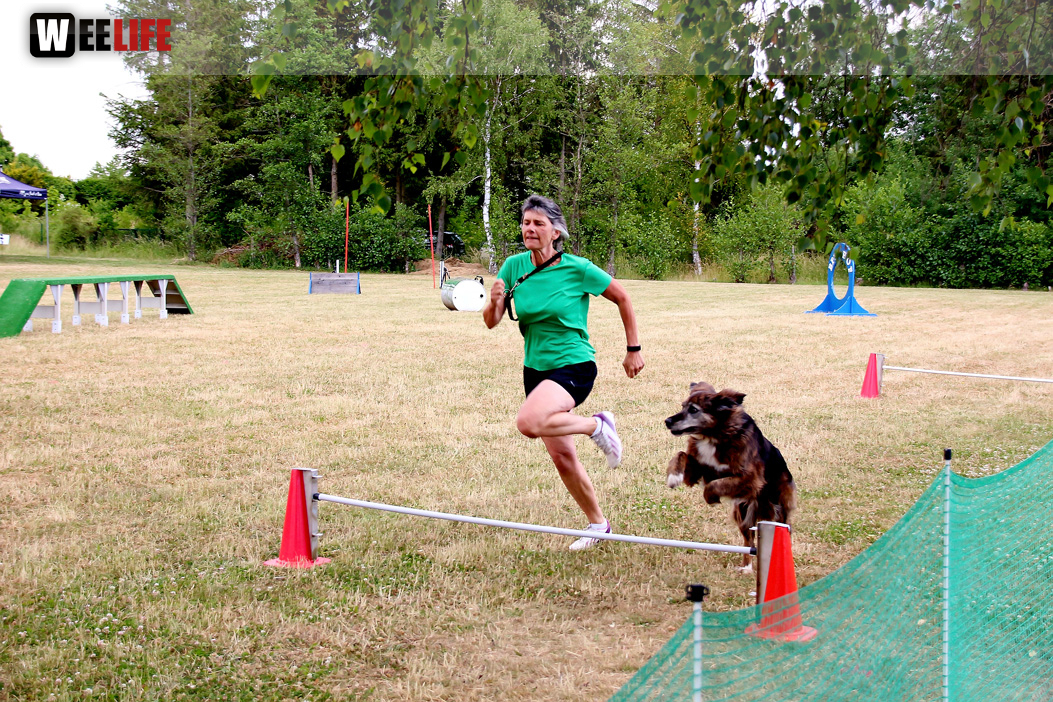 Bayerische Meisterschaft im Turnierhundesport