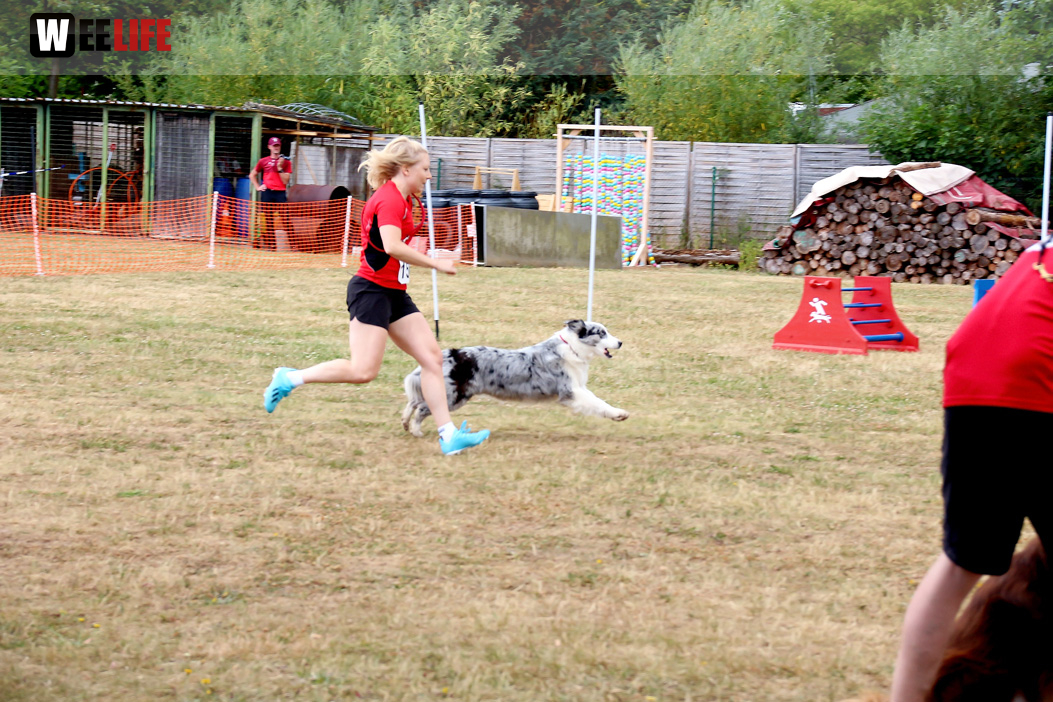 Bayerische Meisterschaft im Turnierhundesport