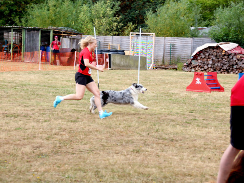 Bayerische Meisterschaft im Turnierhundesport – Foto 74