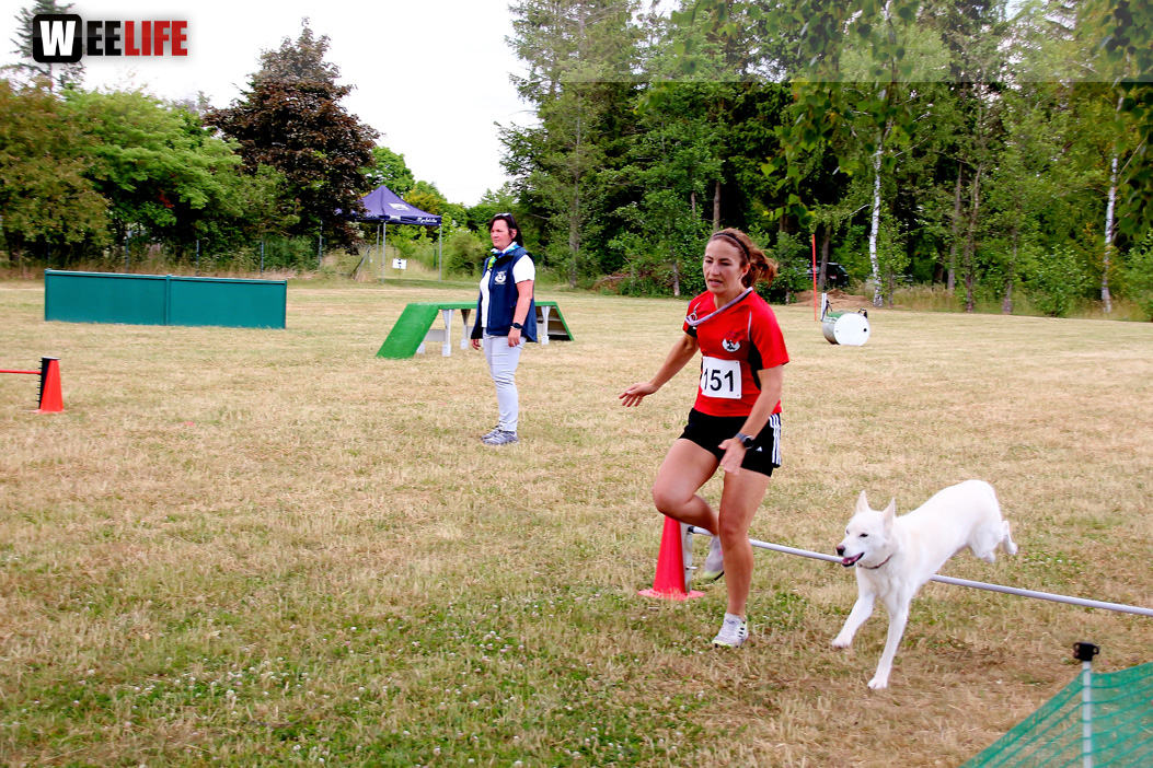 Bayerische Meisterschaft im Turnierhundesport