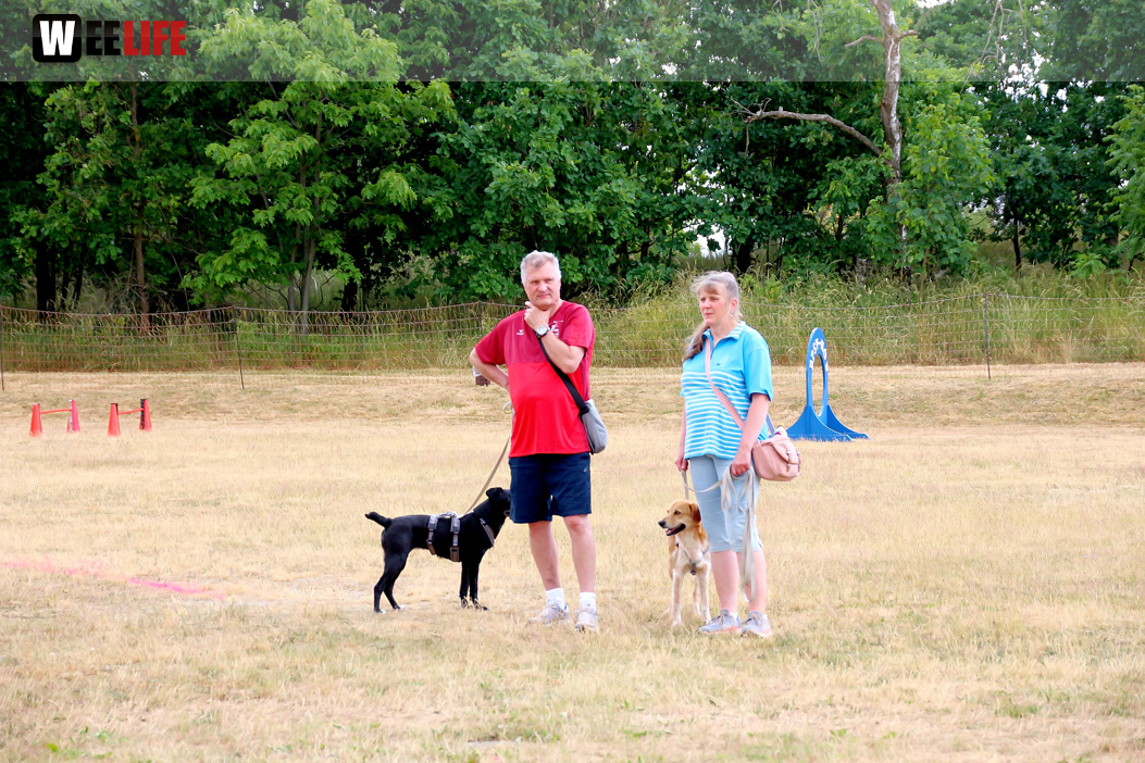 Bayerische Meisterschaft im Turnierhundesport