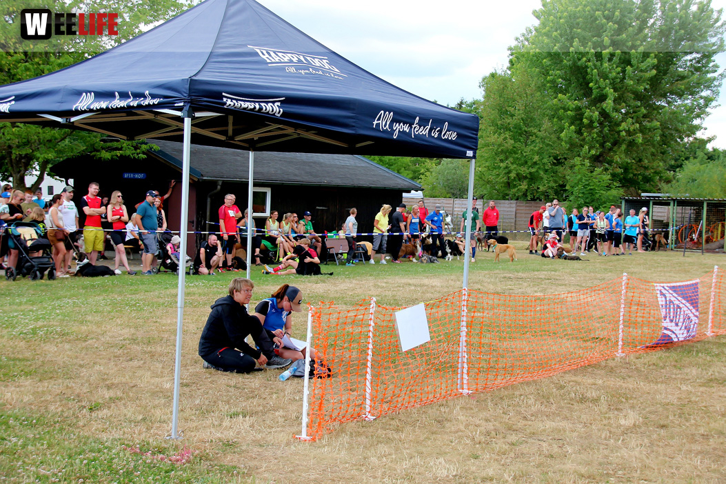 Bayerische Meisterschaft im Turnierhundesport