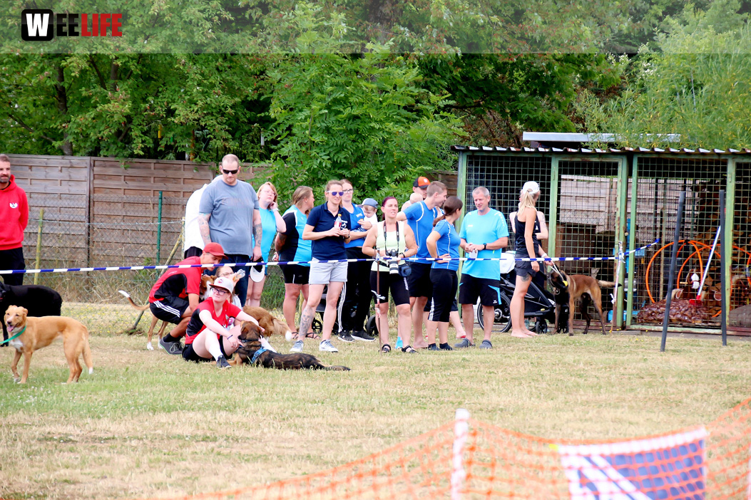 Bayerische Meisterschaft im Turnierhundesport