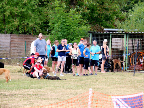Bayerische Meisterschaft im Turnierhundesport – Foto 79