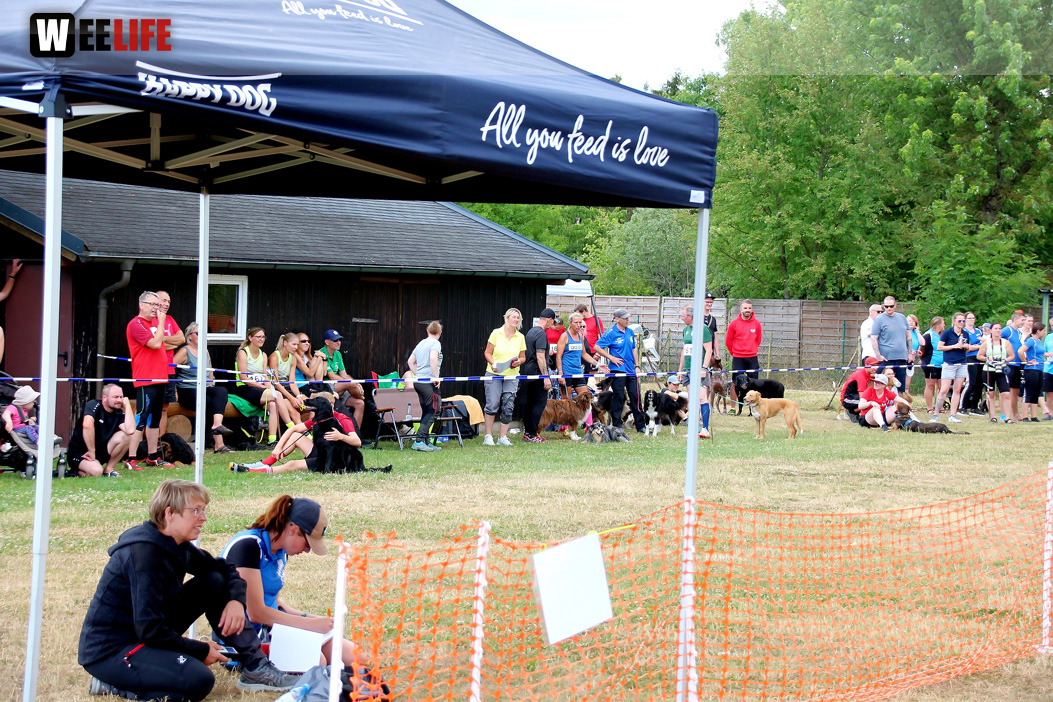 Bayerische Meisterschaft im Turnierhundesport