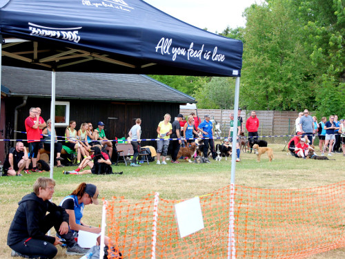 Bayerische Meisterschaft im Turnierhundesport – Foto 80