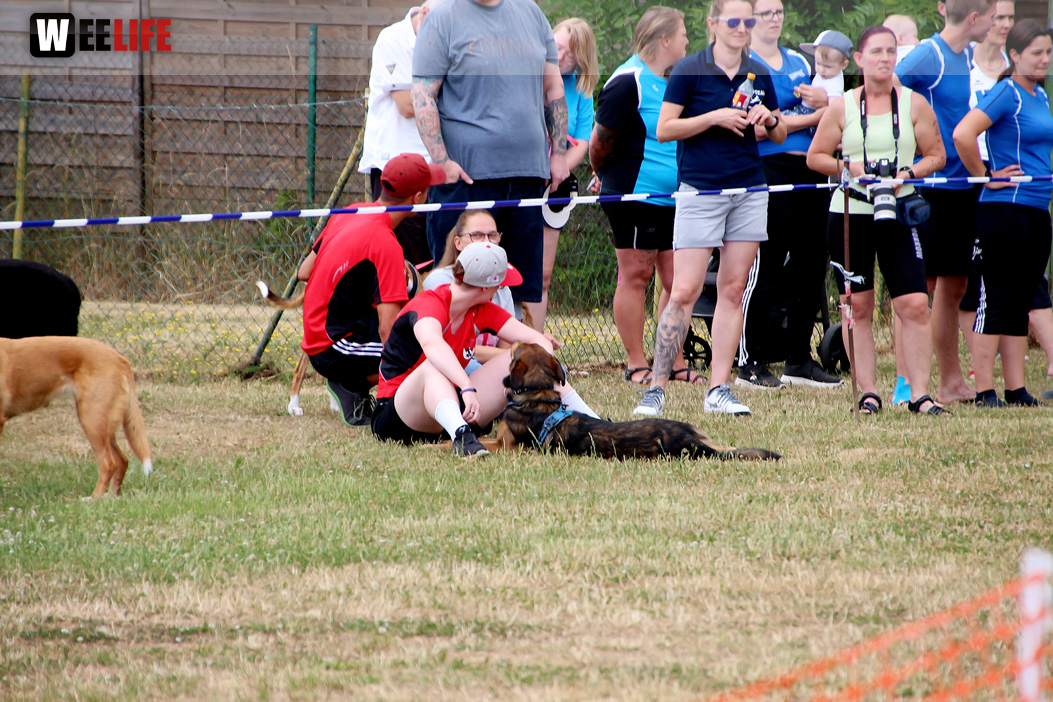 Bayerische Meisterschaft im Turnierhundesport