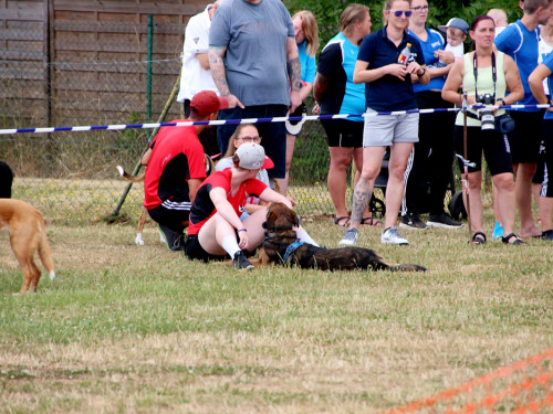 Bayerische Meisterschaft im Turnierhundesport – Foto 81