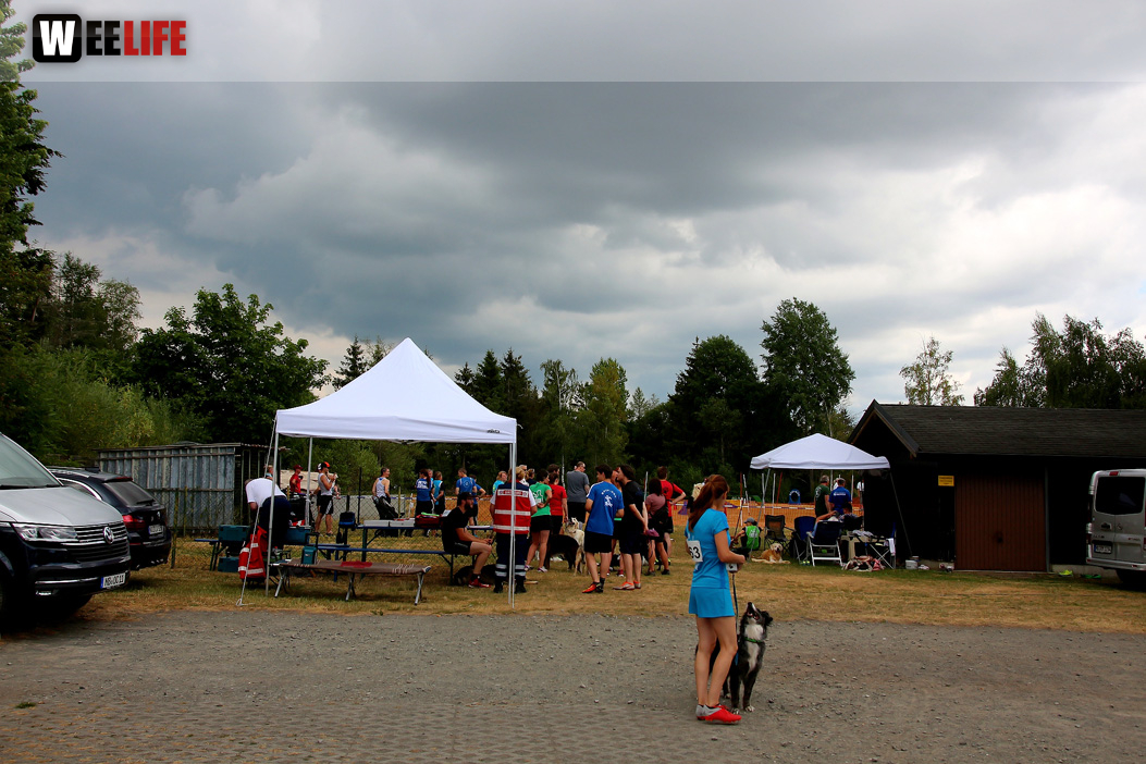Bayerische Meisterschaft im Turnierhundesport