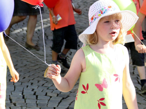 Selber Heimat- und Wiesenfest – Foto 102