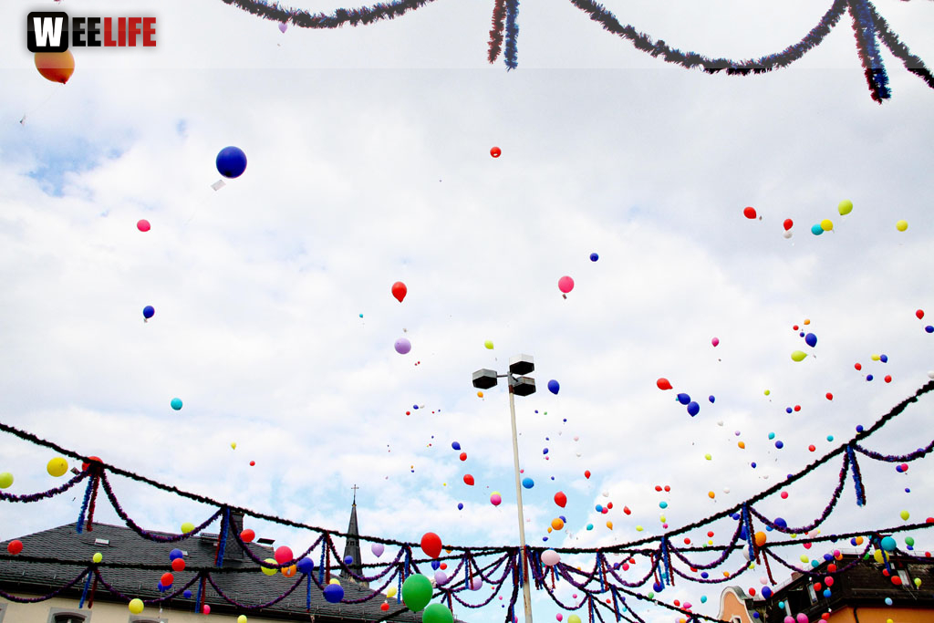 Selber Heimat- und Wiesenfest