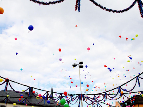 Selber Heimat- und Wiesenfest – Foto 151