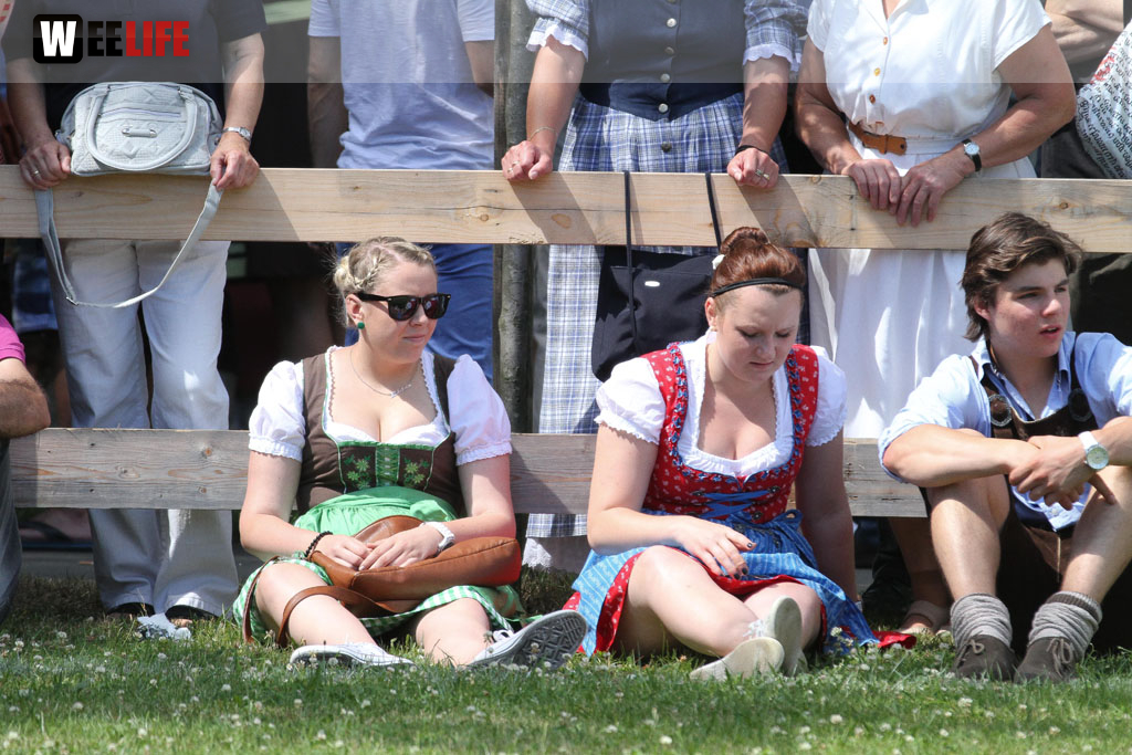 Selber Heimat- und Wiesenfest
