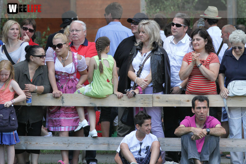 Selber Heimat- und Wiesenfest