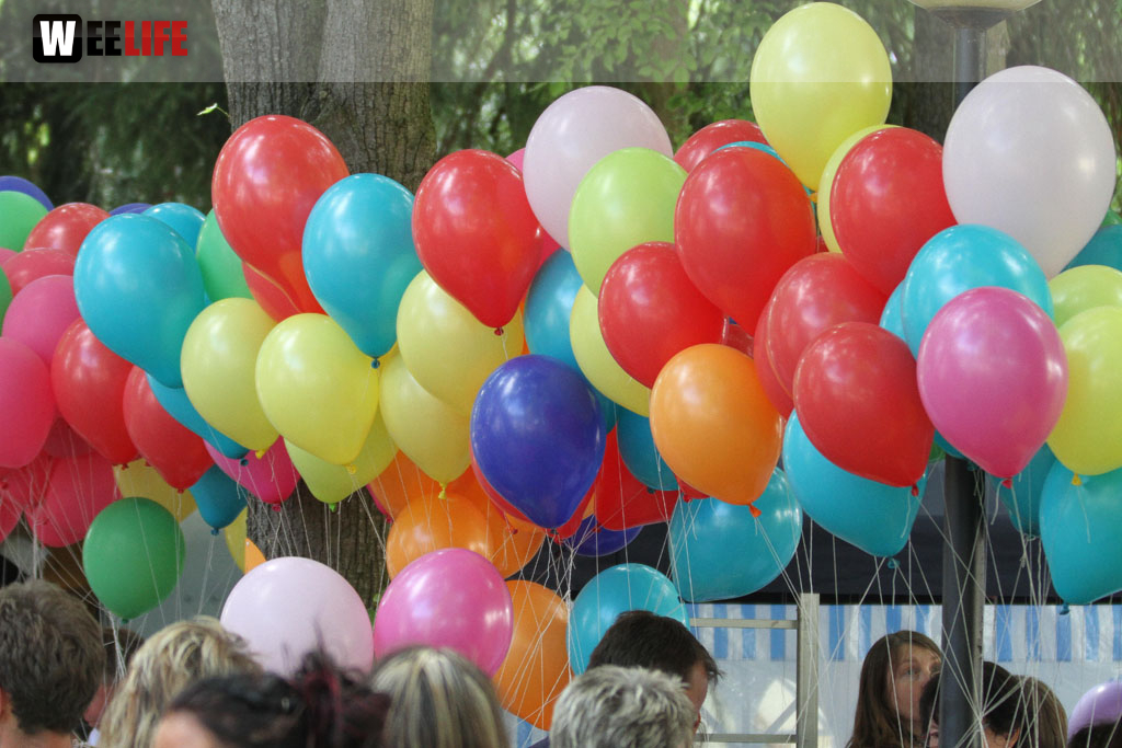 Selber Heimat- und Wiesenfest