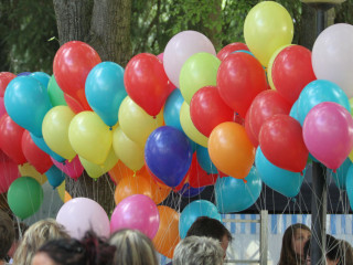 Foto 24635 im Album