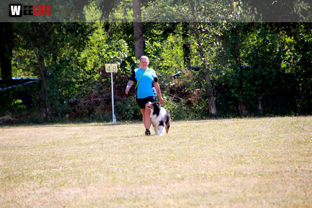 Bayerische Meisterschaft im Turnierhundesport