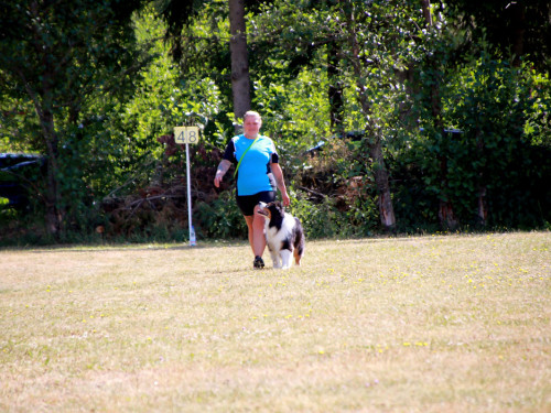 Bayerische Meisterschaft im Turnierhundesport – Foto 3