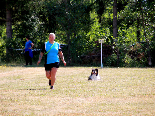 Bayerische Meisterschaft im Turnierhundesport – Foto 4