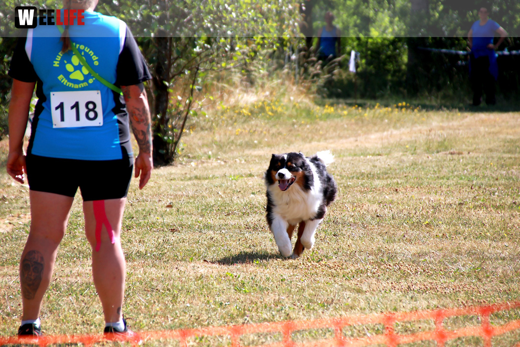 Bayerische Meisterschaft im Turnierhundesport