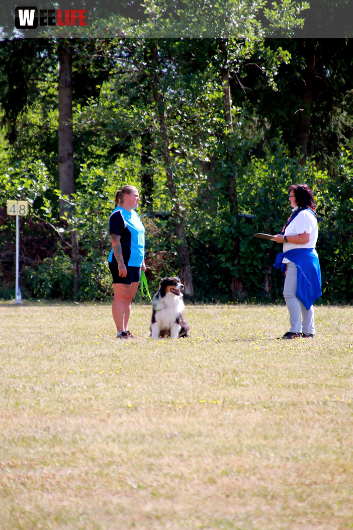 Bayerische Meisterschaft im Turnierhundesport