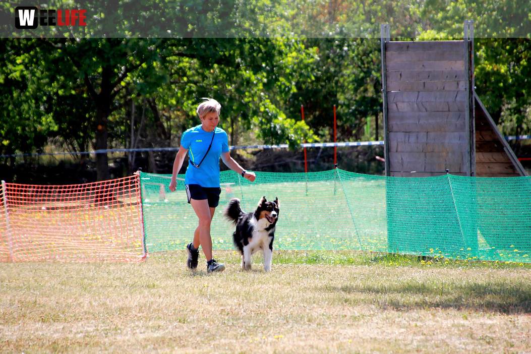 Bayerische Meisterschaft im Turnierhundesport