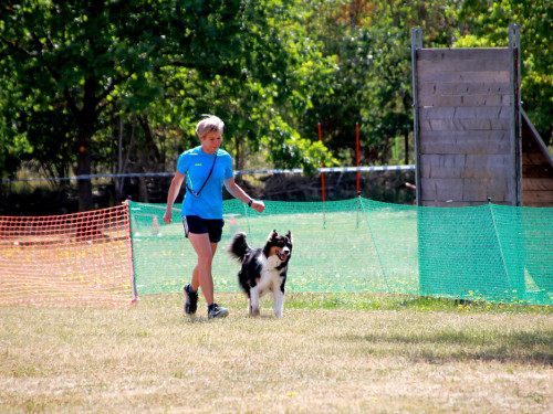 Bayerische Meisterschaft im Turnierhundesport – Foto 7