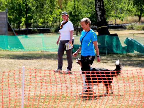 Bayerische Meisterschaft im Turnierhundesport – Foto 8