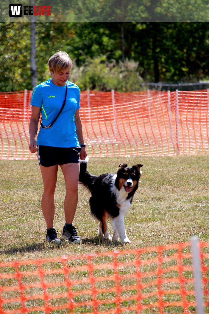 Bayerische Meisterschaft im Turnierhundesport