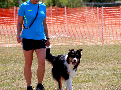 Bayerische Meisterschaft im Turnierhundesport – Foto 9