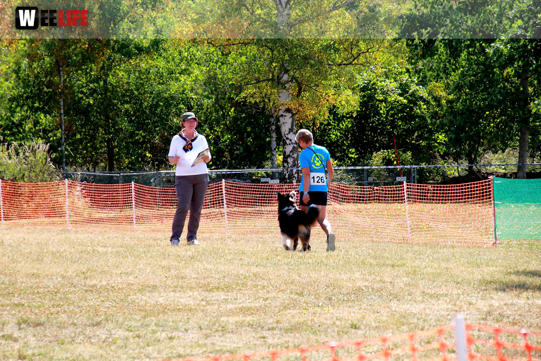 Bayerische Meisterschaft im Turnierhundesport