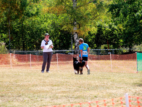 Bayerische Meisterschaft im Turnierhundesport – Foto 13