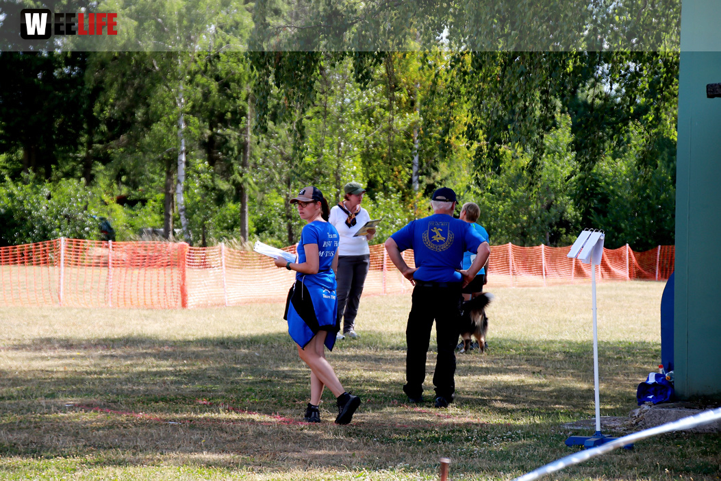 Bayerische Meisterschaft im Turnierhundesport