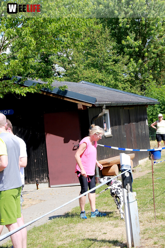 Bayerische Meisterschaft im Turnierhundesport
