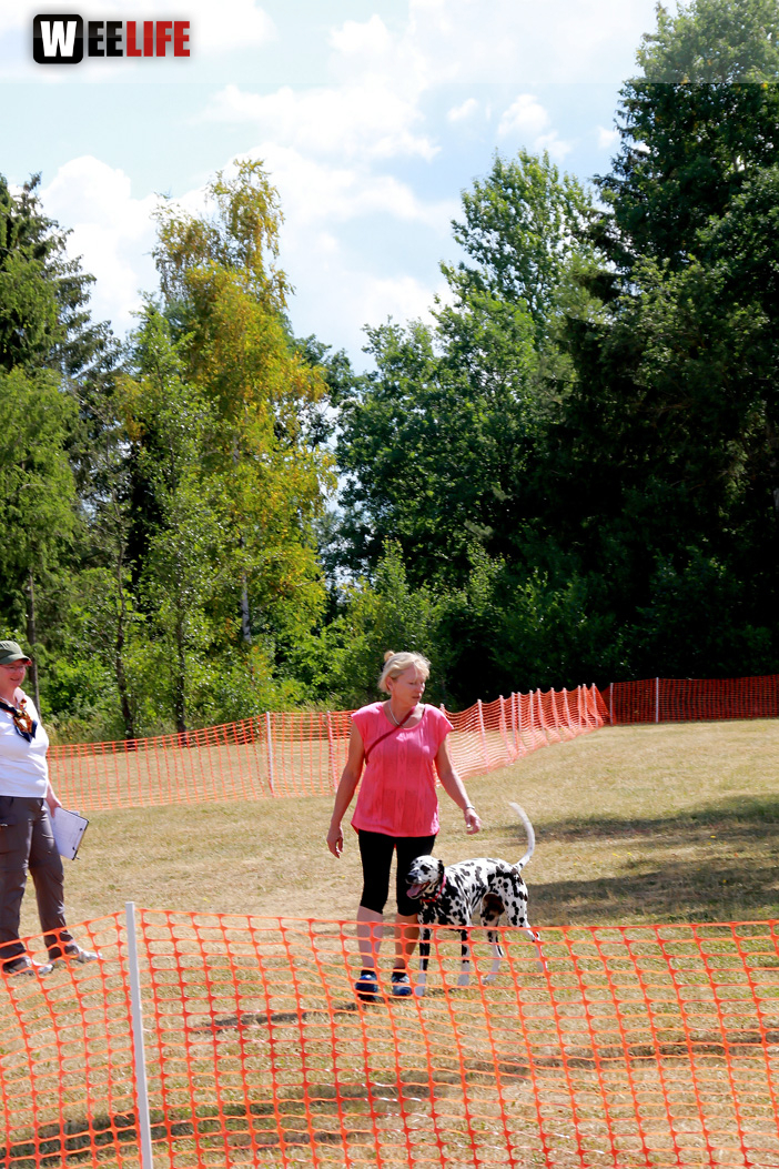 Bayerische Meisterschaft im Turnierhundesport