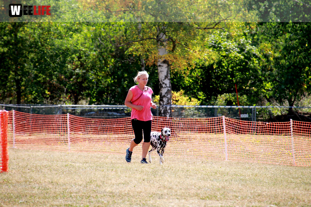 Bayerische Meisterschaft im Turnierhundesport