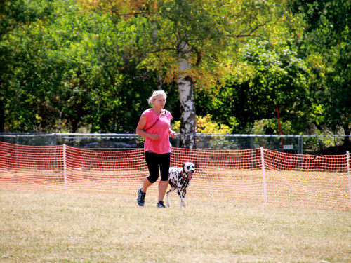 Bayerische Meisterschaft im Turnierhundesport – Foto 24