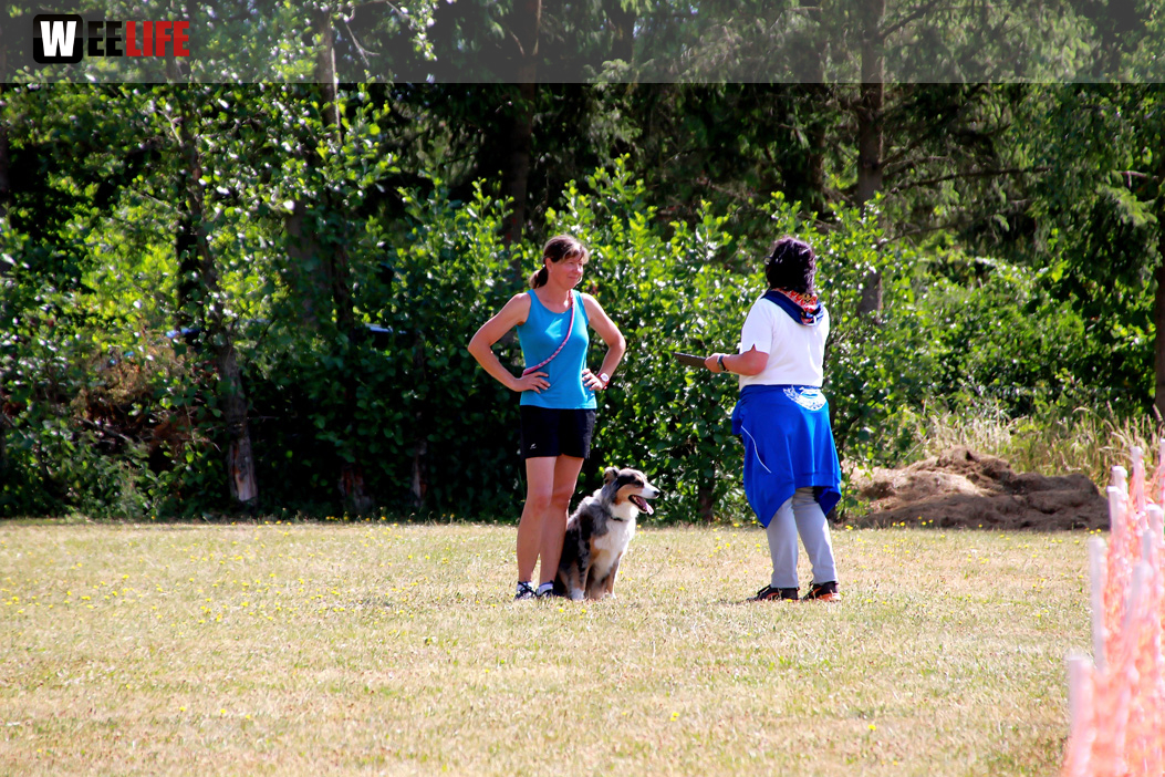 Bayerische Meisterschaft im Turnierhundesport