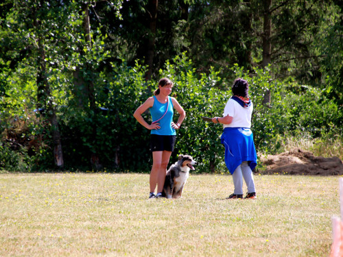 Bayerische Meisterschaft im Turnierhundesport – Foto 26