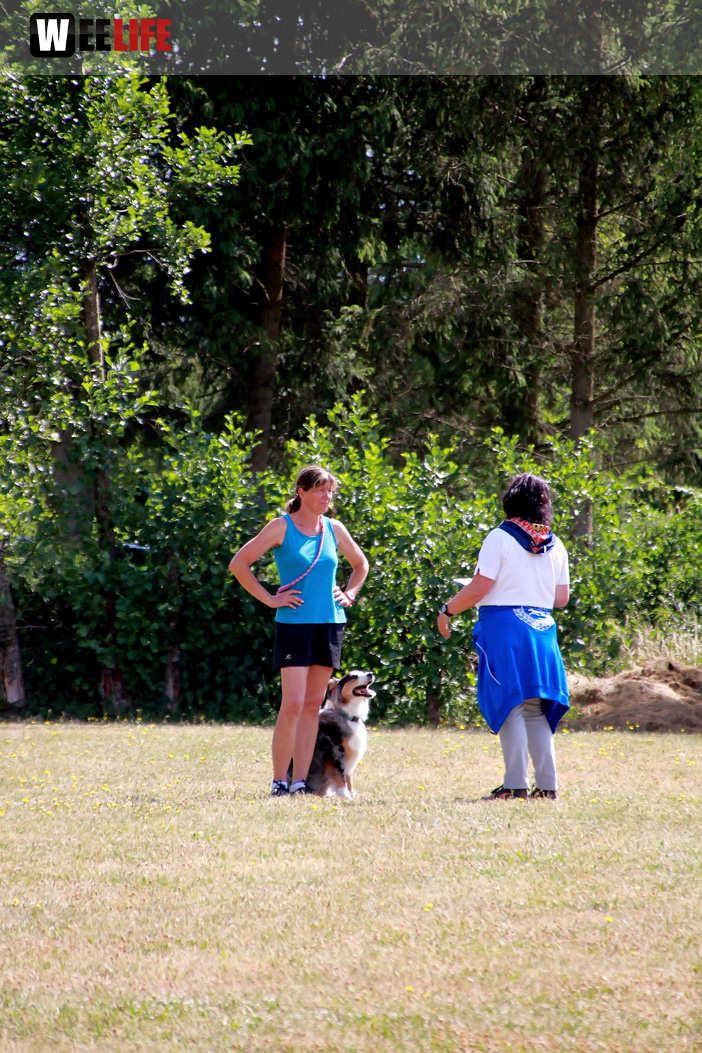 Bayerische Meisterschaft im Turnierhundesport