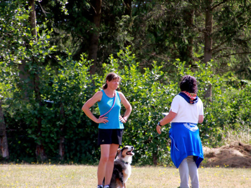 Bayerische Meisterschaft im Turnierhundesport – Foto 27