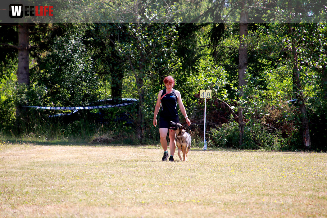 Bayerische Meisterschaft im Turnierhundesport