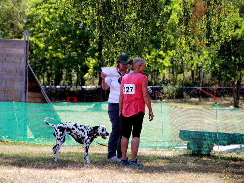 Bayerische Meisterschaft im Turnierhundesport – Foto 31